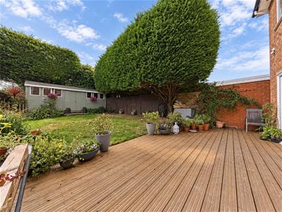 Picture 20